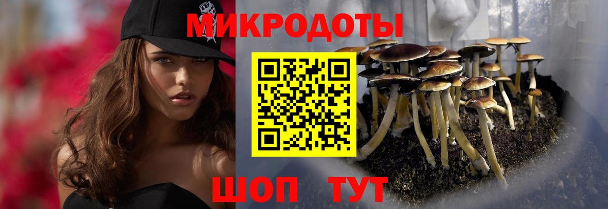 магазин продажи наркотиков  Вход с VPN  Омск  Псилоцибиновые грибы GOLDEN TEACHER  Галлюциногенные грибы Psilocybine cubensis 